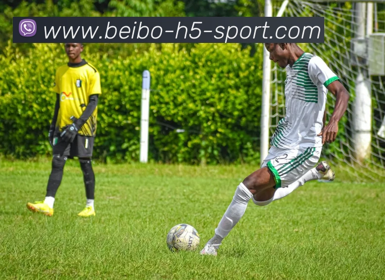 贝博体育发展历程